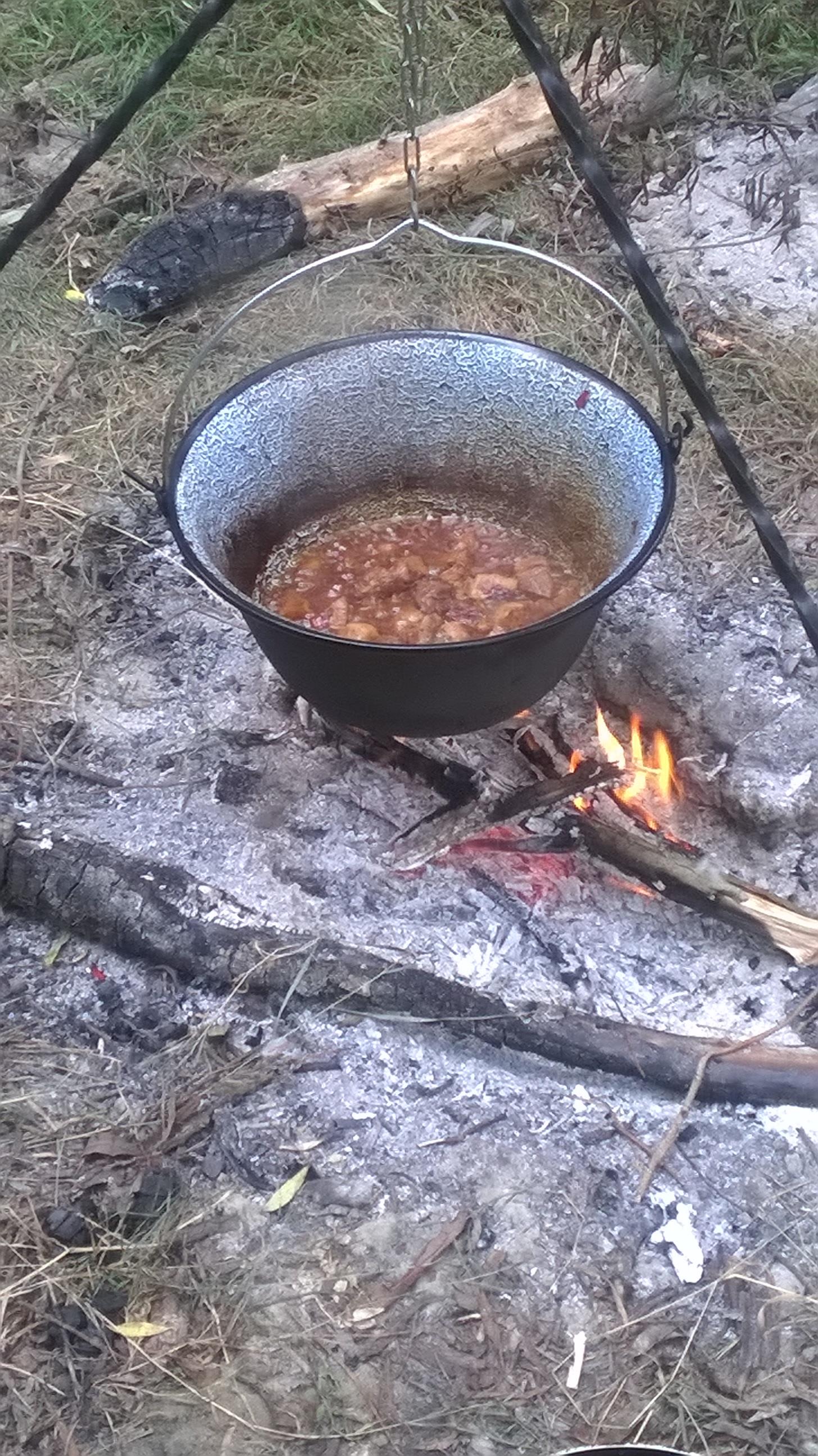 delta - wp20151006124425pro.jpg